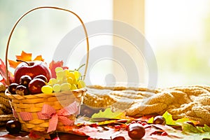 Autumn background with basket with yellow maple leaves, grapes, red apples. Frame of fall harvest on aged wood with copy space.