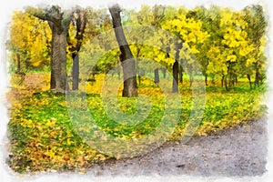 Autumn background beautiful colorful forest landscape nature park with trees in watercolor artistic style pattern.