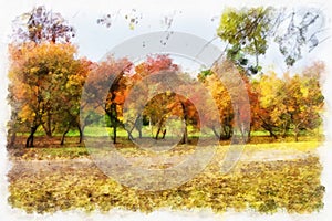 Autumn background beautiful colorful forest landscape nature park with trees in watercolor artistic style pattern.