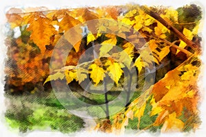 Autumn background beautiful colorful forest landscape nature park with trees in watercolor artistic style pattern.