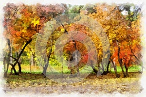 Autumn background beautiful colorful landscape nature park with trees in watercolor artistic style pattern.