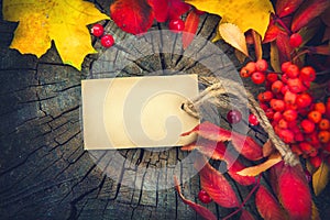 Autumn background with blank greeting card and colorful leaves