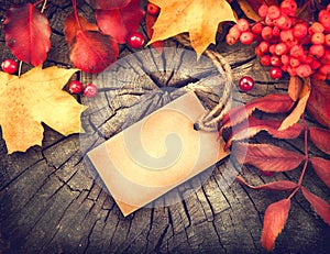 Autumn background with blank greeting card and colourful leaves