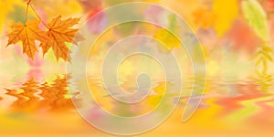 Autumn background 005