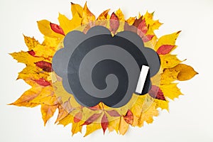 Autumn background with chalk and cloud shape blackboard