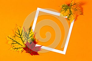 Autumn background. Colorful autumn fall leaves and white frame on orange color background