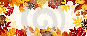 Autumn background with colorful autumn leaves, rowanberries, and cones. Vector banner or header