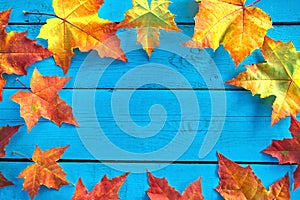 Autumn background with colorful fall maple leaves on blue rustic wooden table with place for text. Thanksgiving autumn holidays