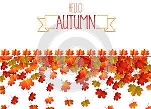 Autumn background with colorful leaves