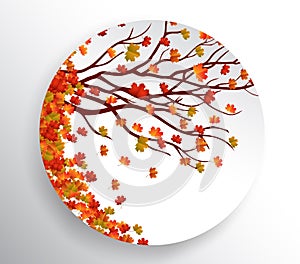 Autumn background with colorful leaves