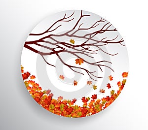 Autumn background with colorful leaves