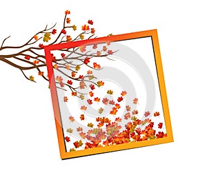 Autumn background with colorful leaves