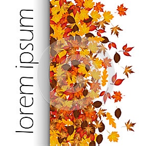 Autumn background with colorful leaves and word autumn