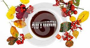 Autumn background. Colorful leaves, the word `autumn` in tea and redberries.