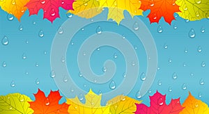 Autumn background with colorful leaves and raindrops.