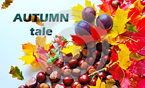 Autumn background colorful yellow leaves red roses chestnuts blue plums season floral beautiful nature abstract season beautiful o