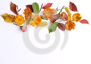Autumn background. Creative flat layout of colorful autumn leaves and flowers.. Fall decorative concept.Flat lay