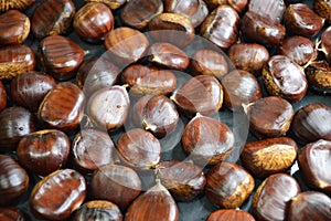 Autumn background with edible chestnuts