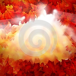 Autumn Background of Fall Maple Leaves