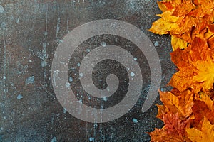 Autumn background with fall maple leaves on rusted metallic surface