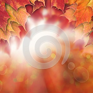 Autumn Background with Fall Maple Leaves and Sun Glow