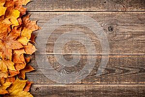 Autumn background with fall maple leaves on wooden background