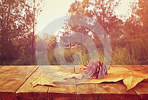 Autumn background of fallen leaves over wooden table and forest backgrond with lens flare and sunset