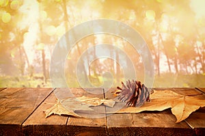 Autumn background of fallen leaves over wooden table and forest backgrond with lens flare and sunset