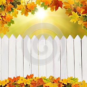 Autumn background with fence
