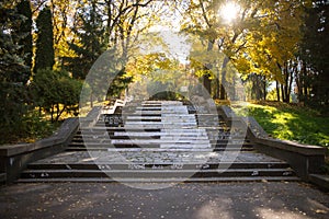 Autumn background. Foliage-covered stairs in the park.