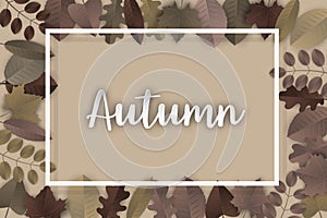 Autumn background with a frame and brown leaves