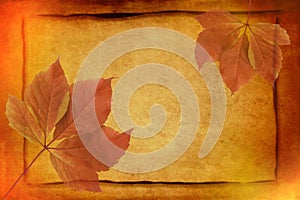 Autumn background. with frame and colorful red and orange fall leaves on golden vintage paper with grunge texture background and c