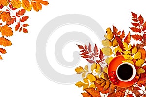 Autumn background. A frame made of autumn leaves. Autumn banner. Background with copy space. Horizontal. Top view.