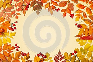 Autumn background. A frame made of autumn leaves. Autumn banner. Background with copy space. Horizontal. Top view.