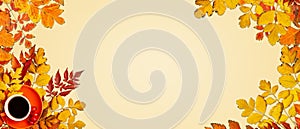 Autumn background. A frame made of autumn leaves. Autumn banner. Background with copy space. Horizontal. Top view.