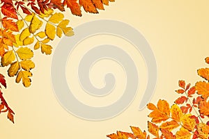 Autumn background. A frame made of autumn leaves. Autumn banner. Background with copy space. Horizontal. Top view.