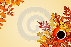 Autumn background. A frame made of autumn leaves. Autumn banner. Background with copy space. Horizontal. Top view.