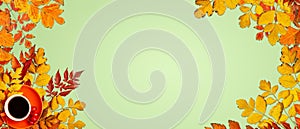 Autumn background. A frame made of autumn leaves. Autumn banner. Background with copy space. Horizontal. Top view.