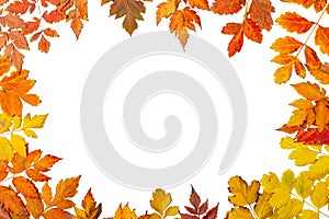 Autumn background. A frame made of autumn leaves. Autumn banner. Background with copy space. Horizontal. Top view.