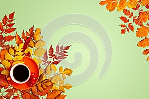 Autumn background. A frame made of autumn leaves. Autumn banner. Background with copy space. Horizontal. Top view.