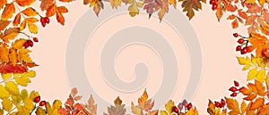 Autumn background. A frame made of autumn leaves. Autumn banner. Background with copy space. Horizontal. Top view.