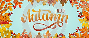 Autumn background. A frame made of autumn leaves. Autumn banner. Horizontal. Top view.