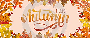 Autumn background. A frame made of autumn leaves. Autumn banner. Horizontal. Top view.