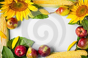 Autumn background. frame made of sunflower, corn and pears.