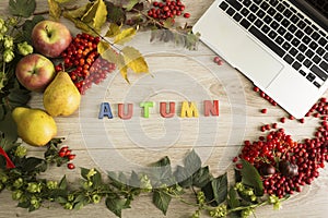 Autumn background