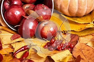 Autumn background, fruits and vegetables on yellow fallen leaves, apples and pumpkin, decoration in country style, dark brown tone