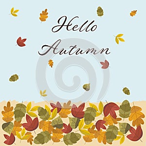 Autumn background with golden maple and oak leaves. Vector paper illustration.Vector set of greeting cards with autumn