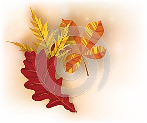 Autumn background with golden maple and oak leaves. Vector paper illustration.Vector set of greeting cards with autumn