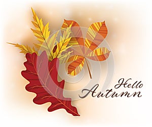 Autumn background with golden maple and oak leaves. Vector paper illustration.Vector set of greeting cards with autumn