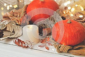 Autumn background. Halloween or Thanksgiving day. Pumpkins next to bright garlands, magic candles, autumn leaves, cones from